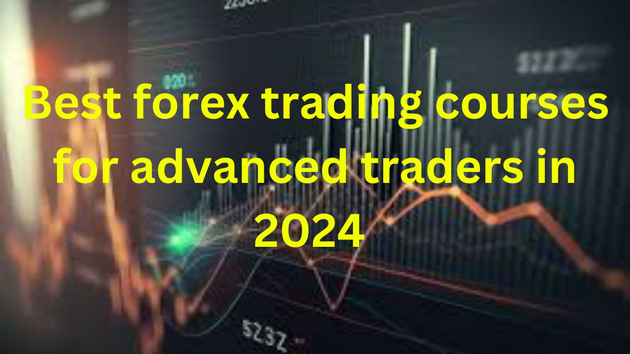 Best forex trading courses for advanced traders in 2024 