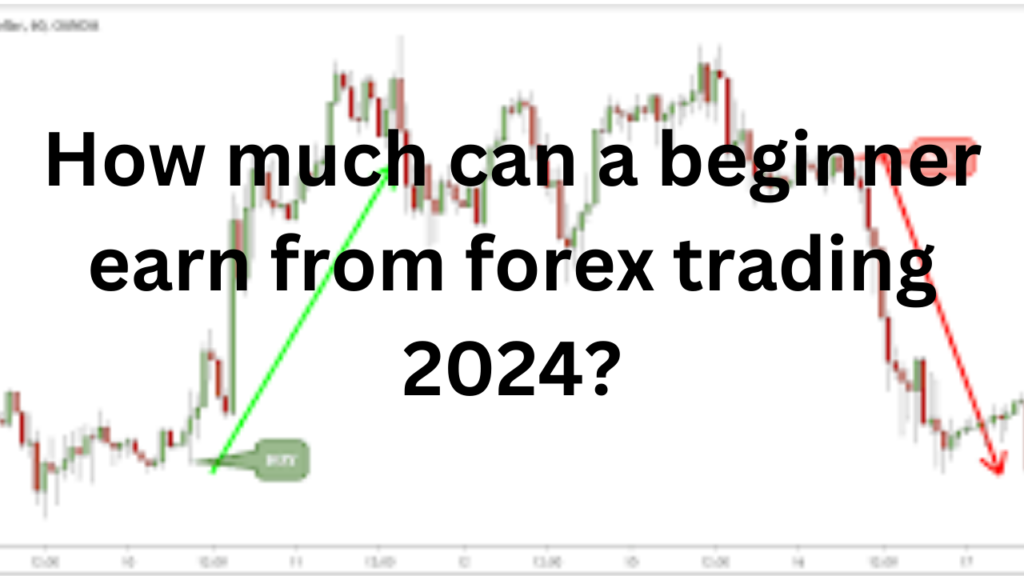 How much can a beginner earn from forex trading 2024?