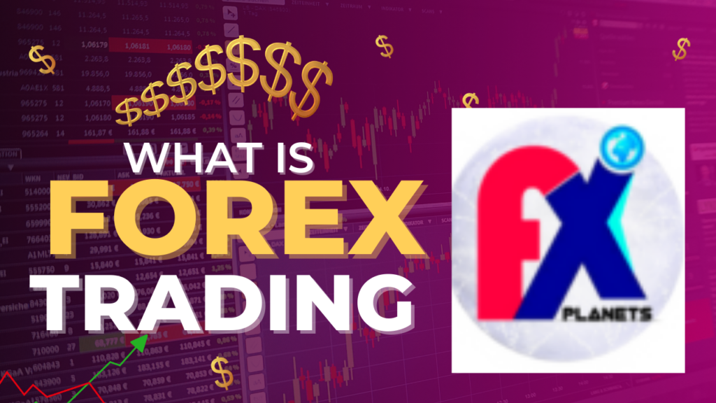 forxe trading guide 2024