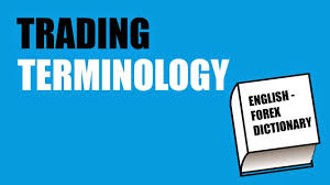 What are the terminologies in forex trading 2024?