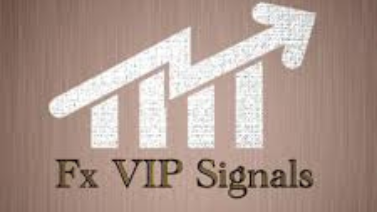 Free VIP Forex Signals Telegram in 2024 