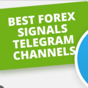 Daily Free Forex Signals Telegram in 2024