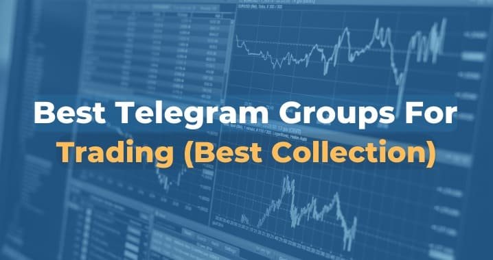 Forex Telegram Group Free in 2024